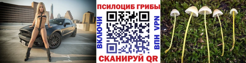 Галлюциногенные грибы мухоморы  Катав-Ивановск 
